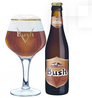 Bush Amber 24x33cl