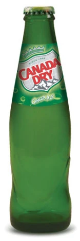 canad dry 20cl.jpg