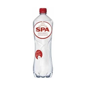SPA BRUISEND PET 6X1L