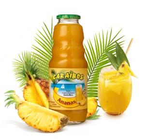Caraibos Ananas Costa Rica 1L