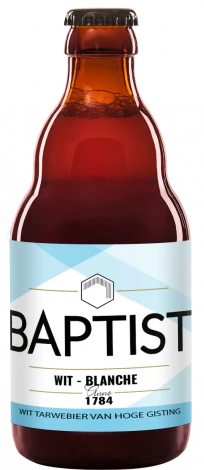 MockUp-Baptist-Wit.png
